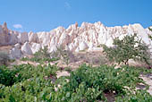 Cappadocia, the Rose valley 